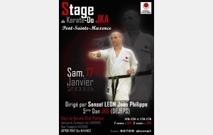 Stage dirigé par Sensei Jean Philippe LEON